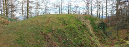 Tontorra
