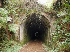 Tunelak