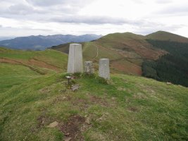 Tontorra