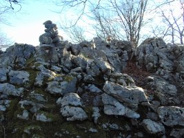 Tontorra