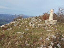 Tontorra