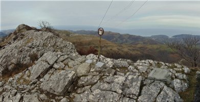 Tontorra
