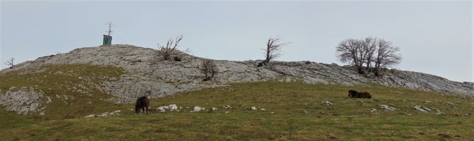 Aizpel
