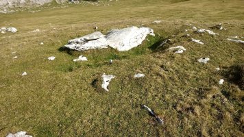 Igaratza Iparra trikuharria 2