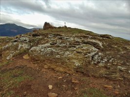 Tontorra