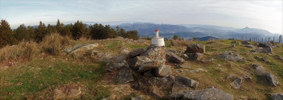 Tontorra