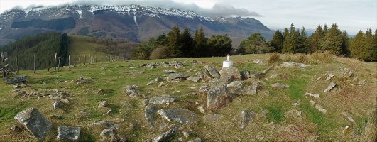 Tontorra
