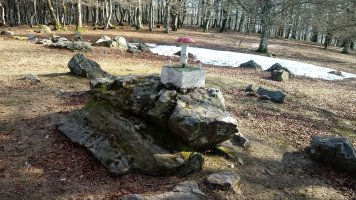 Petrinaitz/Artzanegi (1217m) tontorra