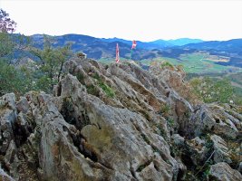 Tontorra