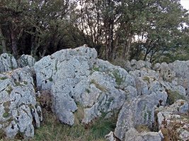 Tontorra