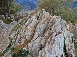 Tontorra