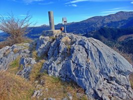 Tontorra