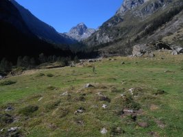 Lutour 1 harrespila