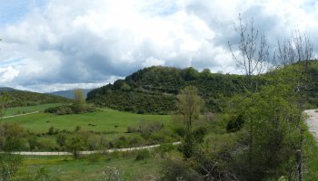 Agote gaina