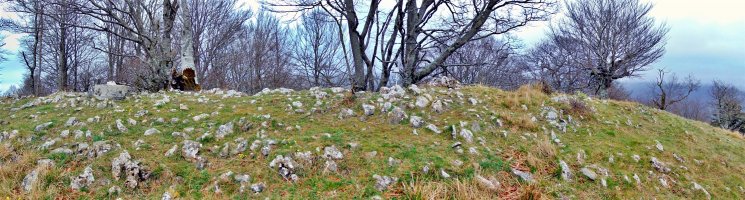 Tontorra