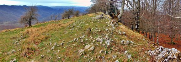 Tontorra
