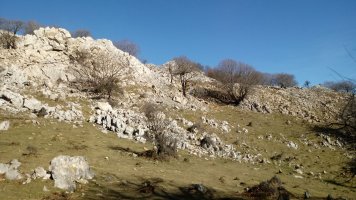 Leungane, igoera