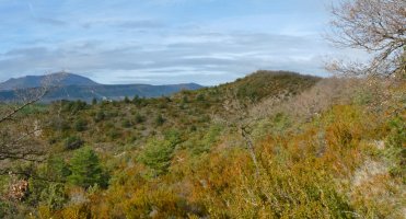 Monte Pequeñoko gandorrean gora