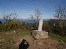 Tontorra