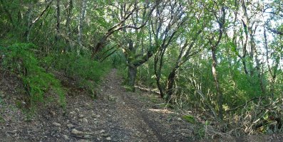 La Matako bidea