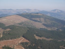 Kolitzatik ikusita