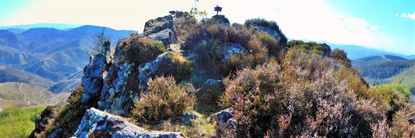 Tontorra