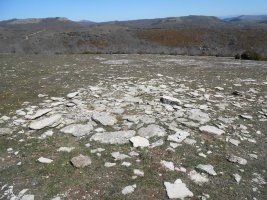 El Cerrado tumulua