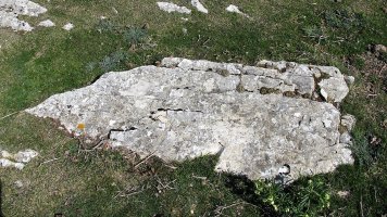 Ollideko Bizkar zutarria, Urbasa