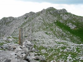 Tontorra