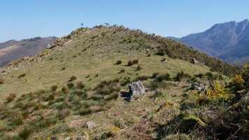 Pagoagalarre, tontorra