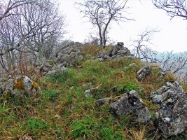 Tontorra