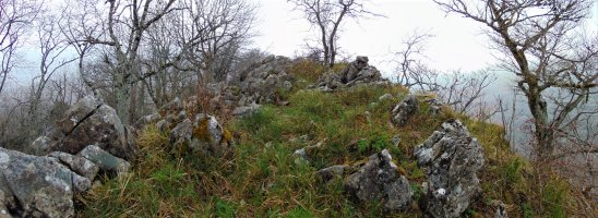Tontorra