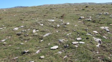 Otsagarate 9 tumulua, Urbasa