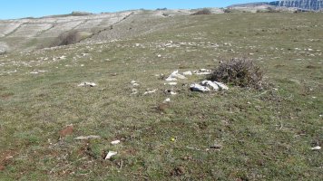 Otsagarate 5 tumulua, Urbasa