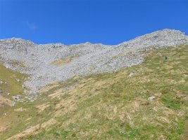 Aldaon