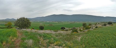 Txarriko gainaldea