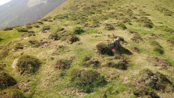 Katillegiko Lepoa trikuharria (2019)