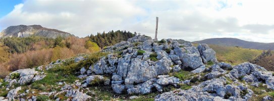 Tontorra