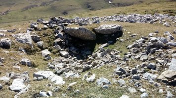 Aizkorritxo trikuharria 3