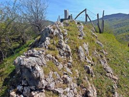 Tontorra