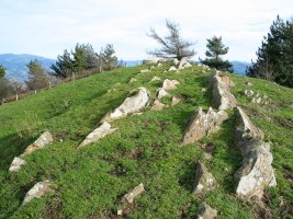 Tontorra