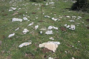 Túmulo Otsagarate 14 (Abril 2019)