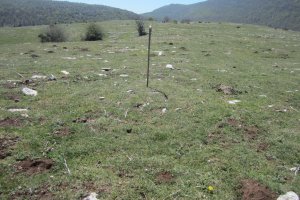 Túmulo Otsagarate 4 (Abril 2019)