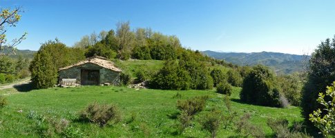 Ripaldako borda