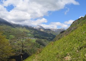 Larraine