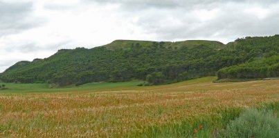Kortabakoitz