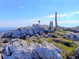 Tontorra