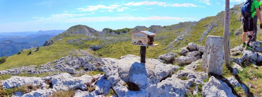 Tontorra