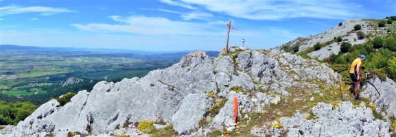Tontorra
