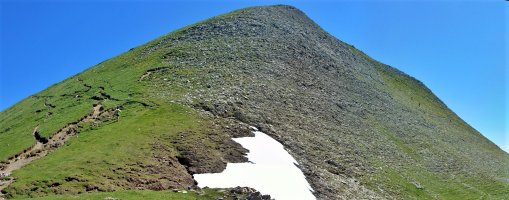 Orhi